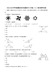 2022-2023学年新疆昌吉州阜康四中八年级（上）期末数学试卷(含解析）