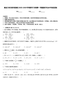 黑龙江哈尔滨市道里区2023-2024学年数学八年级第一学期期末学业水平测试试题含答案