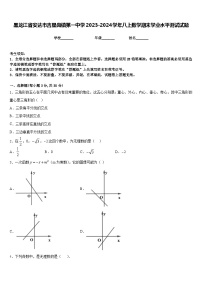 黑龙江省安达市吉星岗镇第一中学2023-2024学年八上数学期末学业水平测试试题含答案