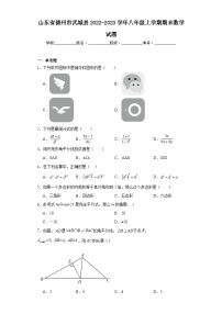 山东省德州市武城县2022-2023学年八年级上学期期末数学试题