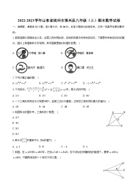 2022-2023学年山东省滨州市博兴县八年级（上）期末数学试卷(含解析）