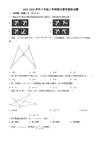 江苏省扬州市高邮市2022-2023学年八年级上学期期末数学模拟试题+