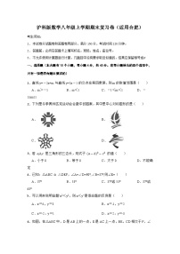 2023-2024学年沪科版数学八年级上册期末复习卷（安徽省合肥市适用）