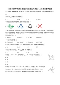 2022-2023学年湖北省咸宁市通城县八年级（上）期末数学试卷(含解析）