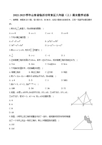 2022-2023学年山东省临沂市河东区八年级（上）期末数学试卷(含解析）