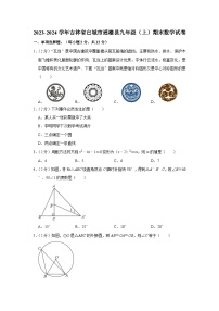 吉林省白城市通榆县2023-2024学年九年级上学期期末数学试卷