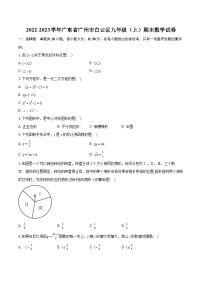 2022-2023学年广东省广州市白云区九年级（上）期末数学试卷（含详细答案解析）