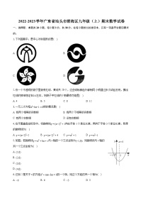 2022-2023学年广东省汕头市澄海区九年级（上）期末数学试卷（含详细答案解析）