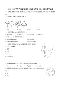 2022-2023学年广东省韶关市仁化县九年级（上）期末数学试卷（含详细答案解析）