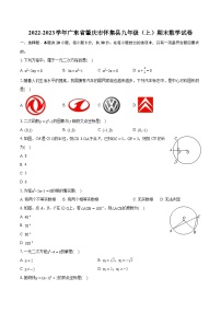 2022-2023学年广东省肇庆市怀集县九年级（上）期末数学试卷（含详细答案解析）