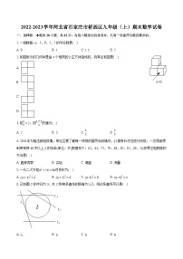 2022-2023学年河北省石家庄市桥西区九年级（上）期末数学试卷（含详细答案解析）