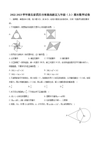 2022-2023学年湖北省武汉市东湖高新区九年级（上）期末数学试卷（含详细答案解析）