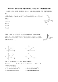 2022-2023学年辽宁省阜新市细河区九年级（上）期末数学试卷（含详细答案解析）