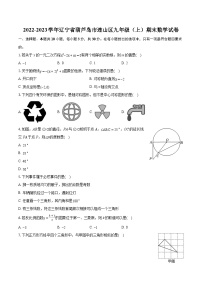 2022-2023学年辽宁省葫芦岛市连山区九年级（上）期末数学试卷（含详细答案解析）