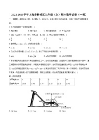 2022-2023学年上海市杨浦区九年级（上）期末数学试卷（一模）（含详细答案解析）