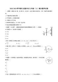 2022-2023学年浙江省嘉兴市九年级（上）期末数学试卷（含详细答案解析）