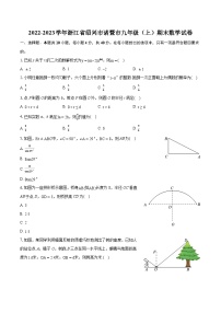 2022-2023学年浙江省绍兴市诸暨市九年级（上）期末数学试卷（含详细答案解析）
