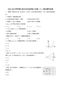 2022-2023学年浙江省台州市仙居县九年级（上）期末数学试卷（含详细答案解析）