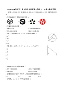 2023-2024学年辽宁省大连市名校联盟九年级（上）期末数学试卷（含详细答案解析）