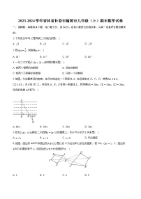 2023-2024学年吉林省长春市榆树市九年级（上）期末数学试卷（含详细答案解析）