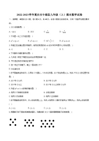 2022-2023学年重庆市丰都县九年级（上）期末数学试卷（含详细答案解析）