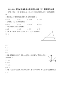 2023-2024学年吉林省长春市绿园区九年级（上）期末数学试卷（含详细答案解析）