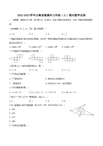 2022-2023学年云南省楚雄州七年级（上）期末数学试卷（含解析）