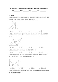 青岛版数学八年级上册第一章全等三角形期末章节基础练习