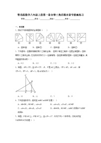 青岛版数学八年级上册第一章全等三角形期末章节拔高练习