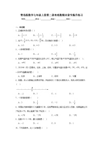 青岛版数学七年级上册第二章有理数期末章节提升练习