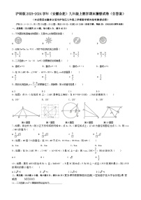 安徽省合肥市2023-2024学年九年级上学期沪科版数学期末猜想试卷