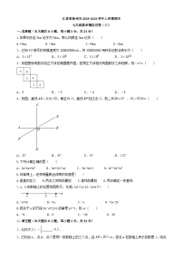 江苏省徐州市2023-2024学年七年级上学期期末数学模拟试卷（三）