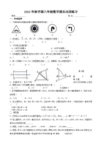 江苏省盐城市盐都区实验初中2023--2024学年上学期八年级数学期末巩固练习