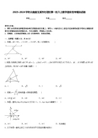 2023-2024学年云南省玉溪市红塔区第一区八上数学期末统考模拟试题含答案