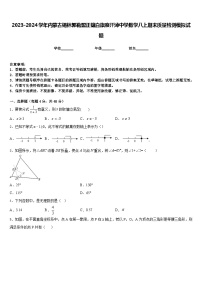 2023-2024学年内蒙古锡林郭勒盟正镶白旗察汗淖中学数学八上期末质量检测模拟试题含答案