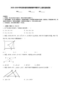 2023-2024学年吉林省农安县新阳中学数学八上期末监测试题含答案