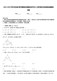 2023-2024学年吉林省长春市朝阳区新朝阳实验学校八上数学期末质量跟踪监视模拟试题含答案