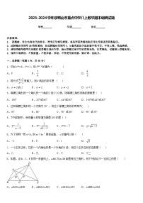 2023-2024学年双鸭山市重点中学八上数学期末调研试题含答案