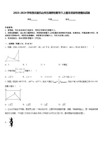 2023-2024学年四川省乐山市五通桥区数学八上期末质量检测模拟试题含答案