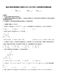 黑龙江省哈尔滨阿城区六校联考2023-2024学年八上数学期末考试模拟试题含答案