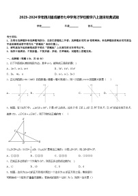 2023-2024学年四川省成都市七中学育才学校数学八上期末经典试题含答案