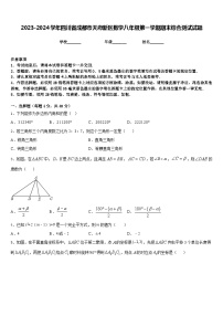 2023-2024学年四川省成都市天府新区数学八年级第一学期期末综合测试试题含答案