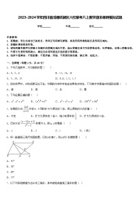 2023-2024学年四川省成都武侯区六校联考八上数学期末调研模拟试题含答案