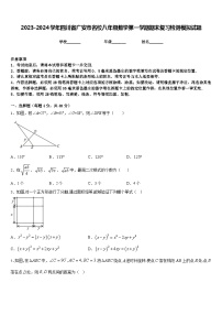 2023-2024学年四川省广安市名校八年级数学第一学期期末复习检测模拟试题含答案