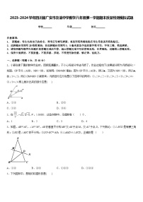 2023-2024学年四川省广安市友谊中学数学八年级第一学期期末质量检测模拟试题含答案