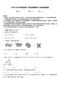 2023-2024学年四川省广元市旺苍县数学八上期末检测试题含答案