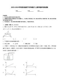 2023-2024学年四川省遂宁市市城区八上数学期末检测试题含答案