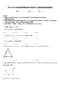 2023-2024学年四川省资阳市雁江区迎丰祥八上数学期末质量检测试题含答案