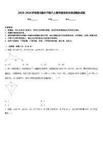 2023-2024学年四川省长宁县八上数学期末综合测试模拟试题含答案