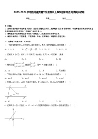 2023-2024学年四川省资阳市乐至县八上数学期末综合测试模拟试题含答案